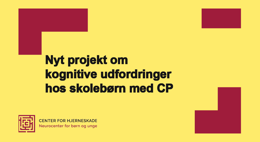 Nyt Projekt Skal Give Større Viden Om Kognitive Udfordringer Hos ...